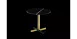 訂製茶几Minotti_Catlin